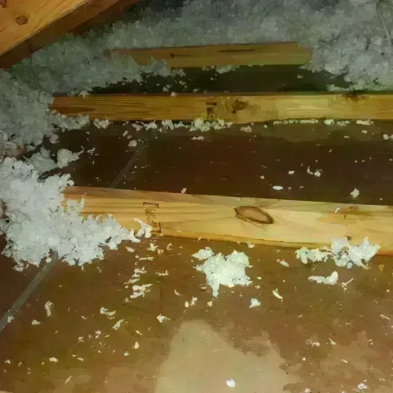 Attic Water Damage in Ambridge, PA